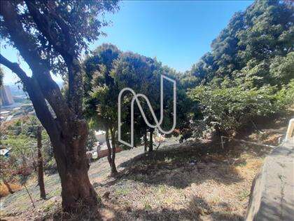 Lote 3