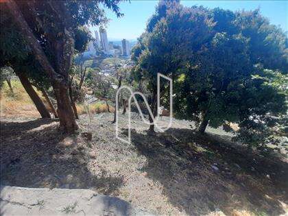 Lote 2