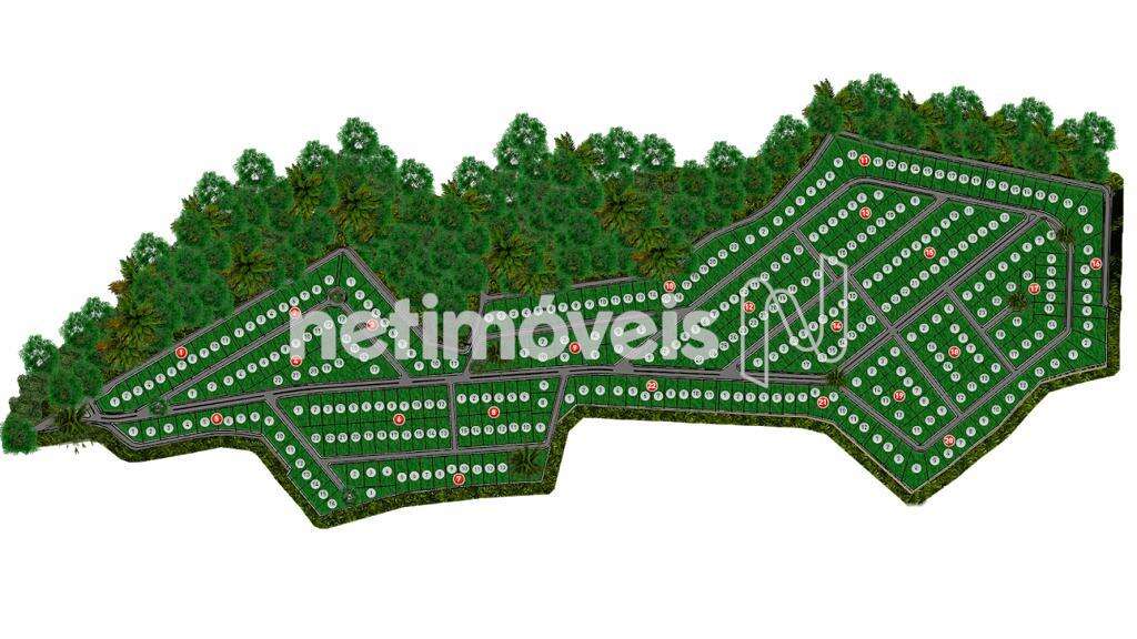 Planta Lotes