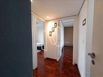 Circulação