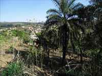 Vista do lote
