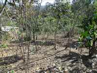 Lote 13 - Outro ângulo I