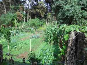  Horta