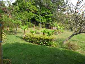  Jardins