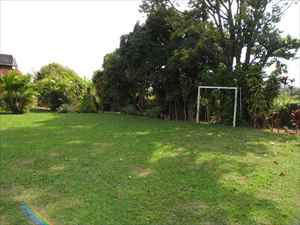  Campo
