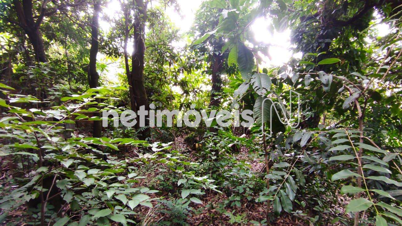 Meio do Lote Outro Ângulo