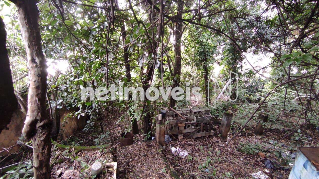 Meio e Fundo do Lote