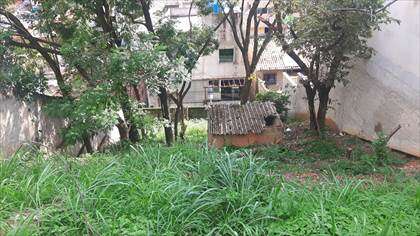    Lote