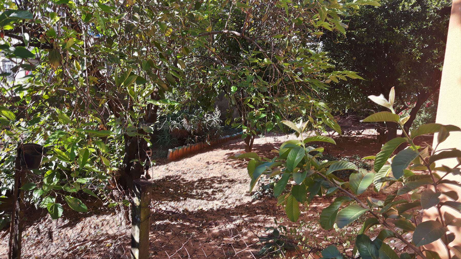 Quintal outro ângulo 
