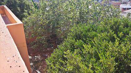 Quintal