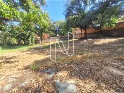 Lote 