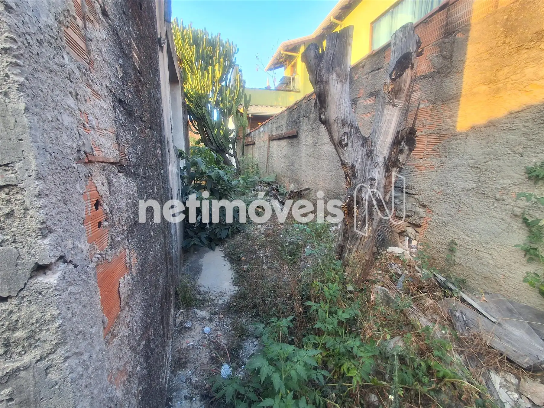 Circulação lateral