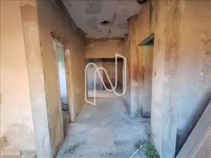 Circulação  