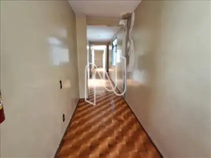  Circulação