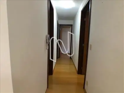 Circulação