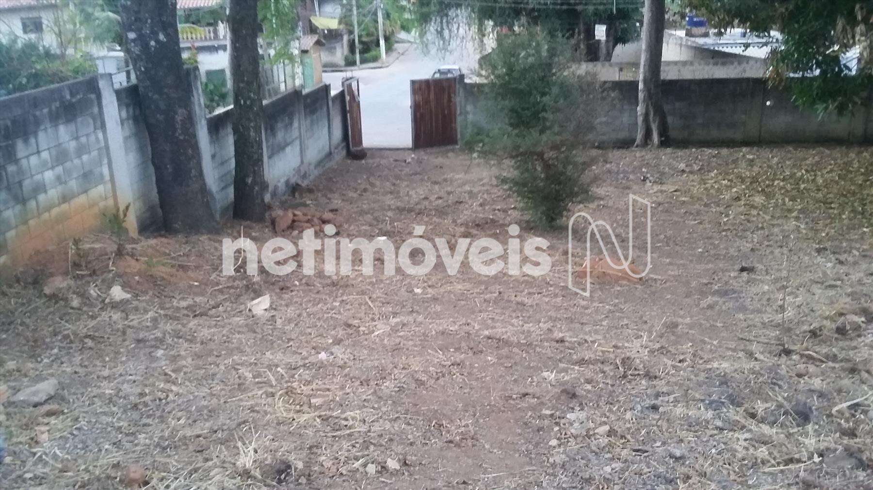 Vista do Fundo para Frente