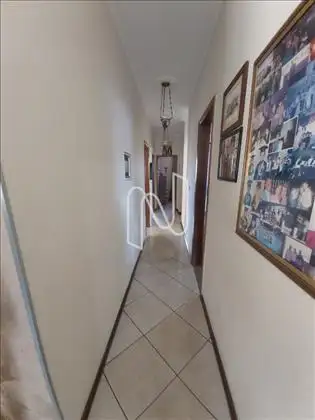 Circulação 