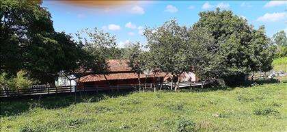Vista da Casa 