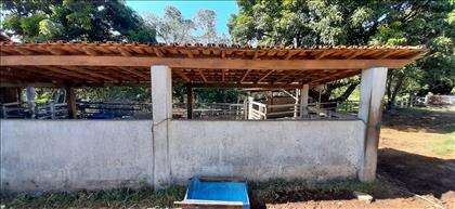 Curral  