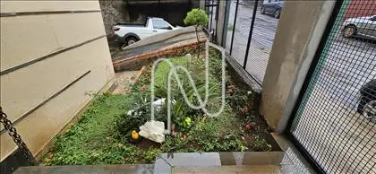 Jardim