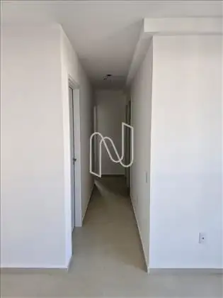 Circulação