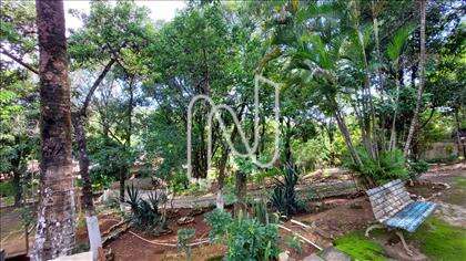 Jardim