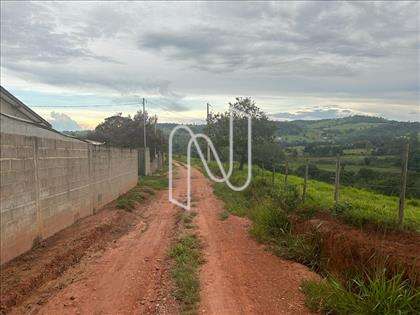  Chegada no Lote