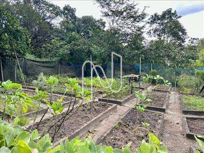 Horta 