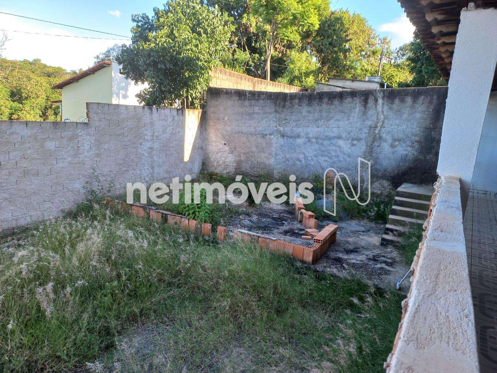 Quintal - Fundo da Casa