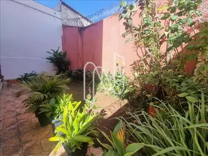Jardim