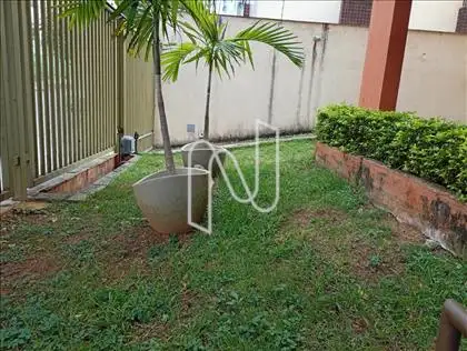 jardim na frente 