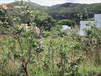 Lote