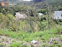 Lote