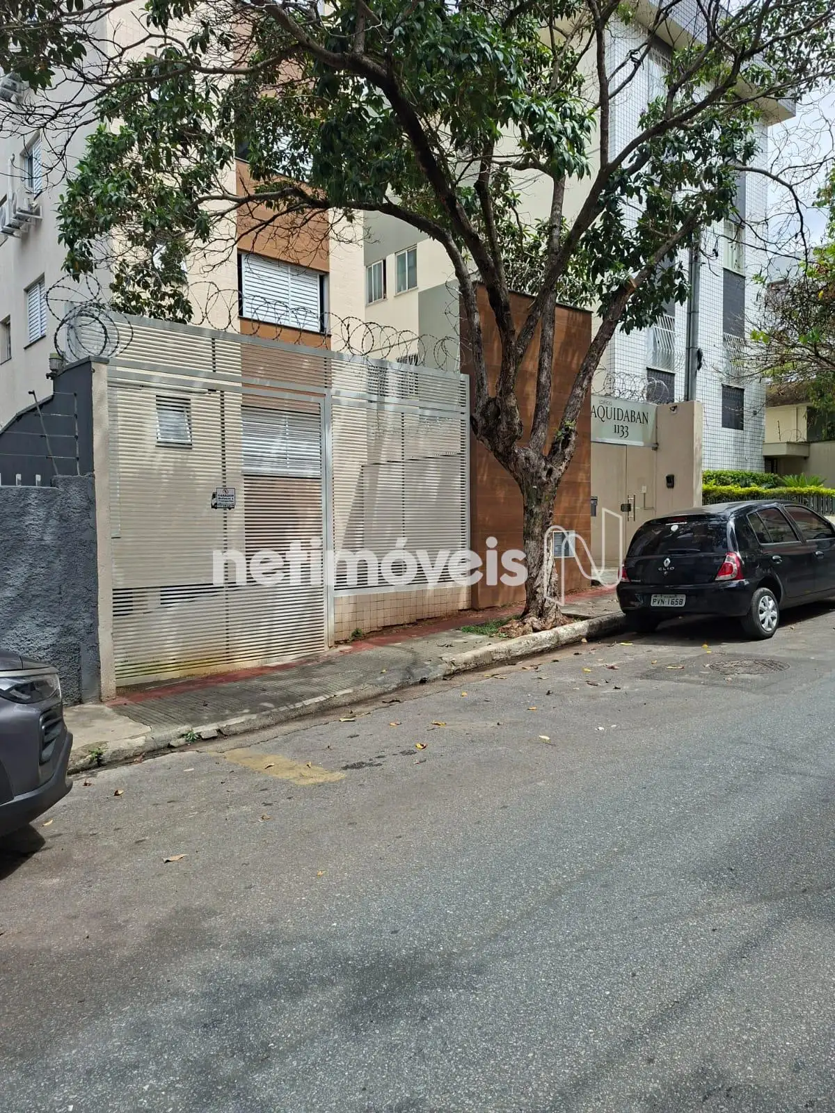 frente