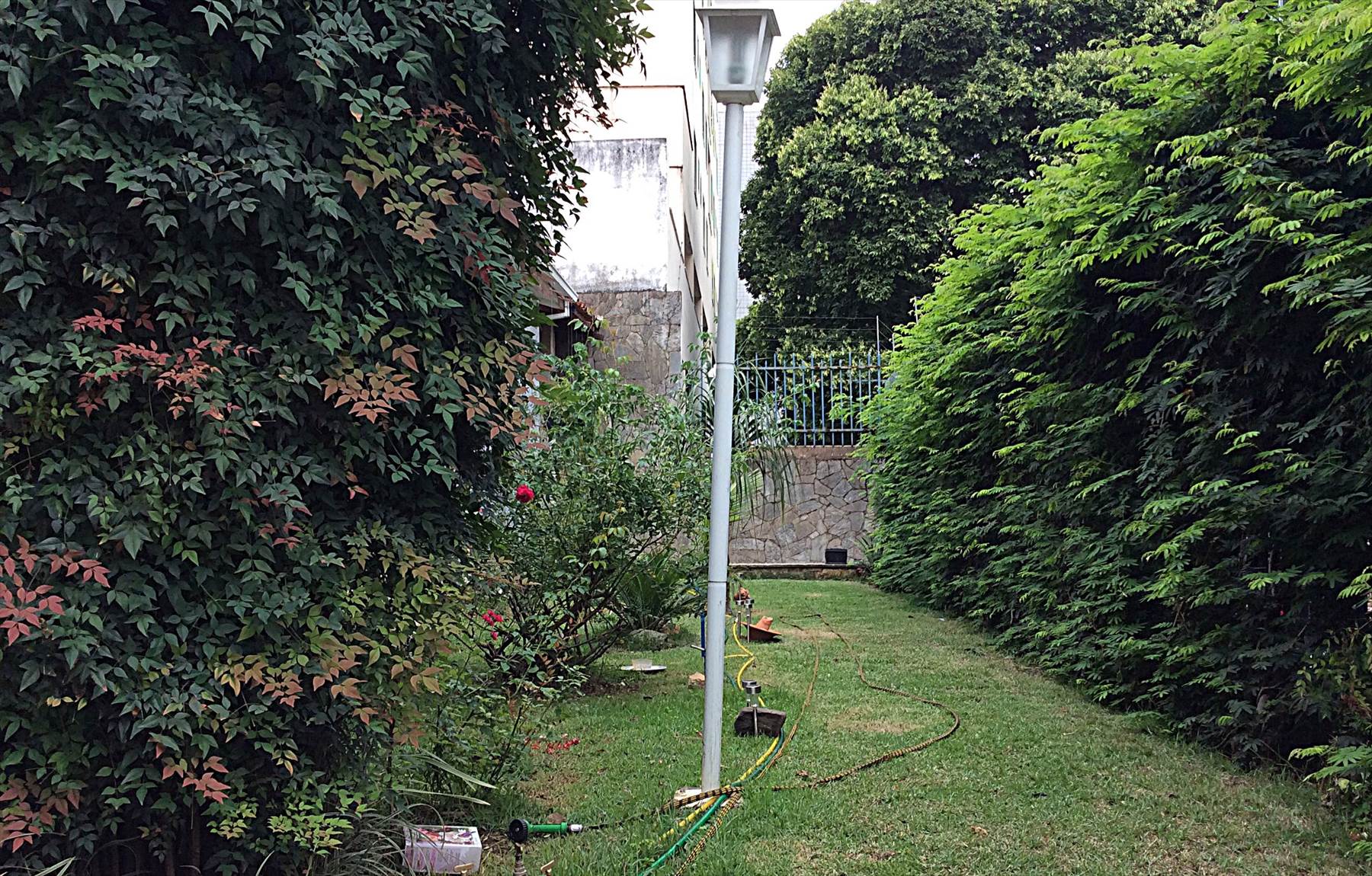JARDIM