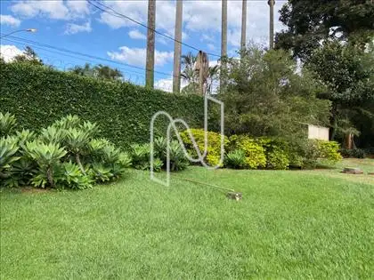 jardim 