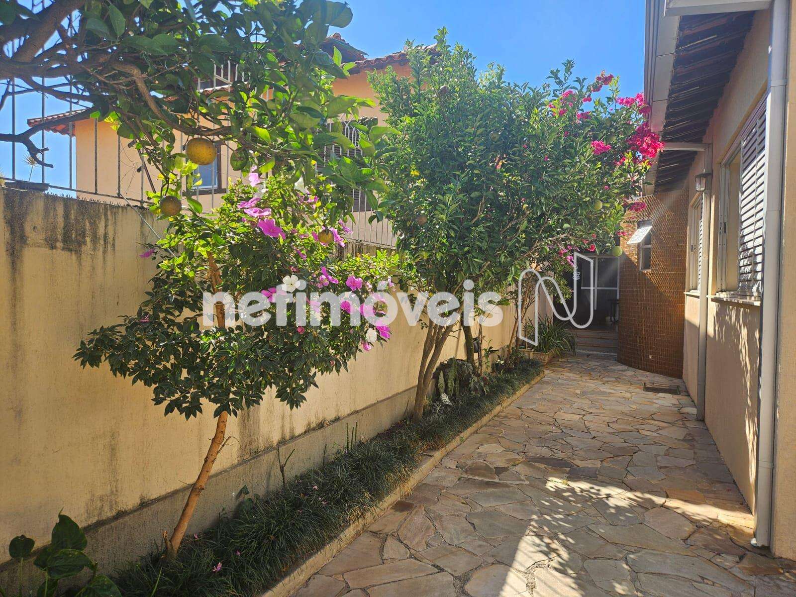 Quintal e Área externa com churrasqueira