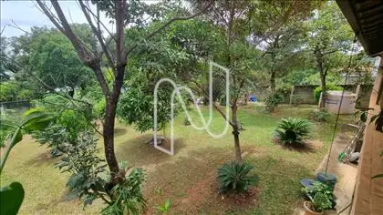 Pomar - Árvores frutíferas/plantas do cerrado