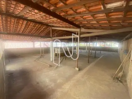  Terraço 