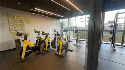 ACADEMIA 