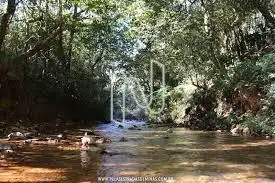 riacho 