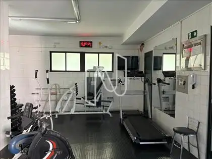 Academia