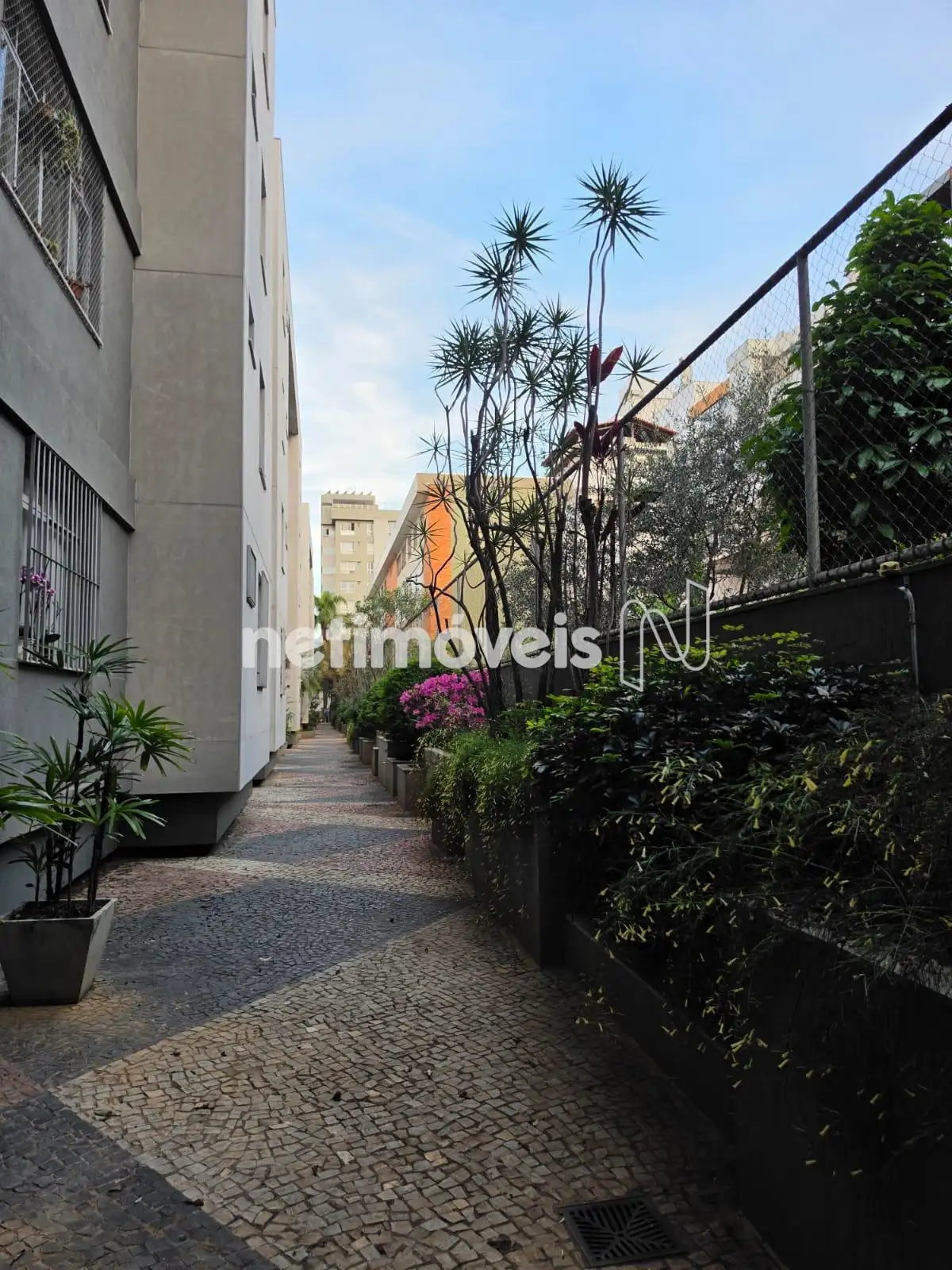 Jardim