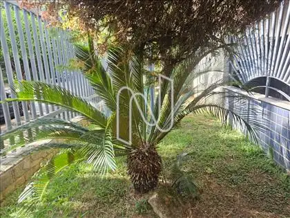 Jardim