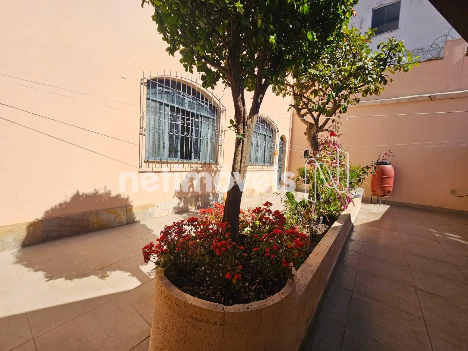 Jardim