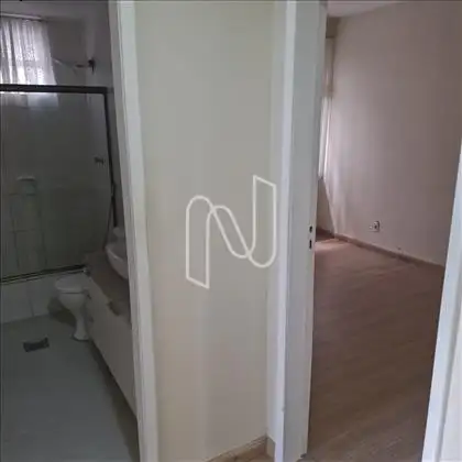 Suíte