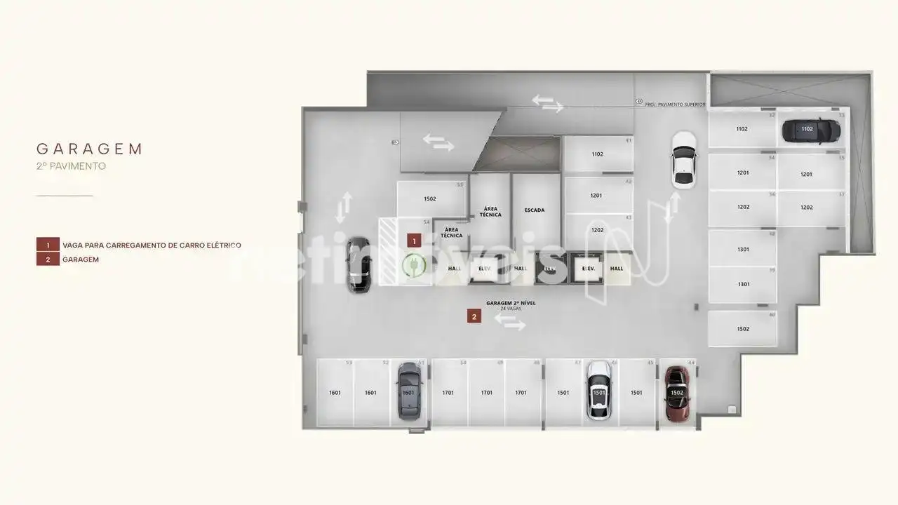 Planta 8