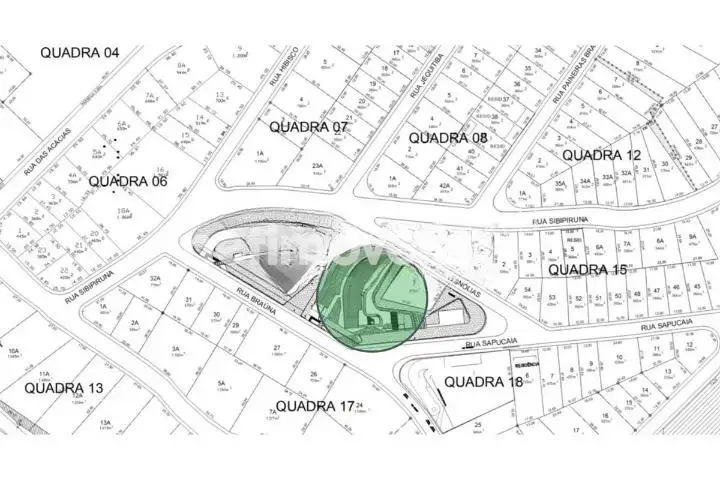 Planta