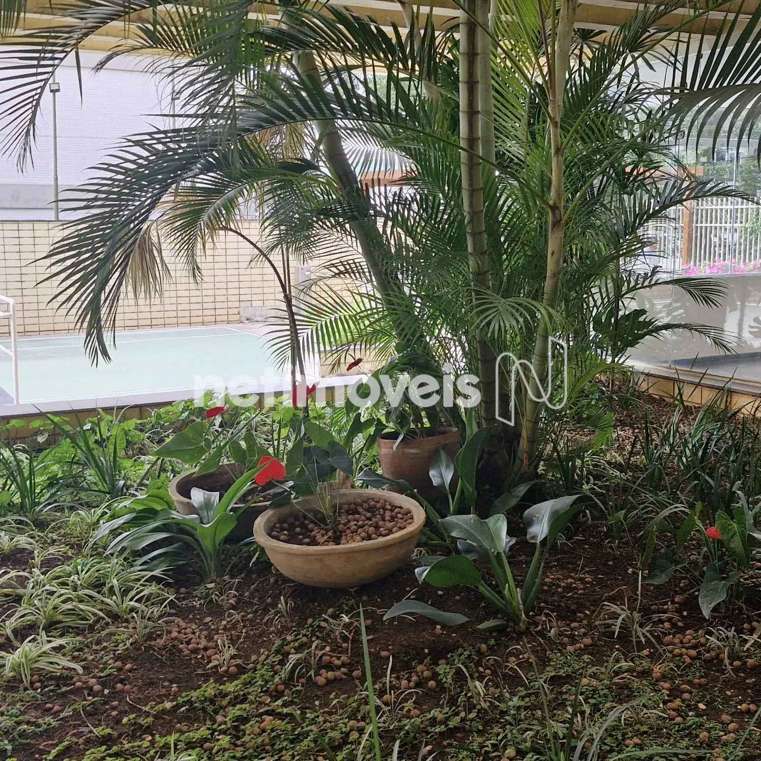 Jardim