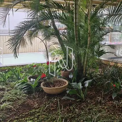 Jardim